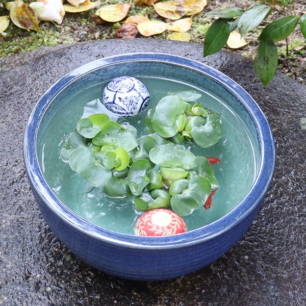 10��ʥޥ���ȭ�����ھơ����ȭ�������ȭ�ˤ����ᡡ��su-0139��