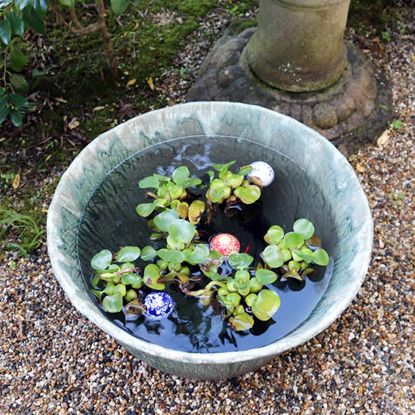 20Х饹ȭھơȭȭˤ ȭ su-0170