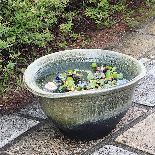 22号白流し