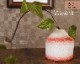 ھ ʾ˲ ޤ ƫ ha-9030