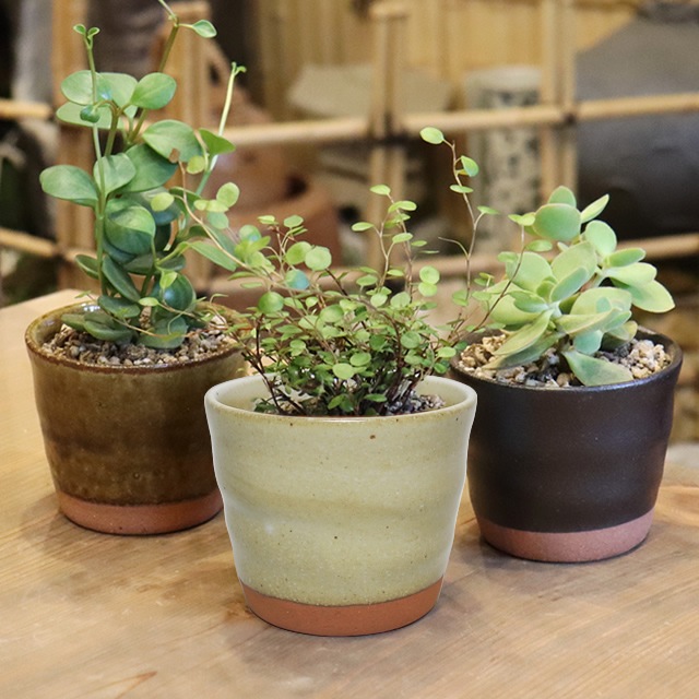 ���ھ� ����ȭ ƫ�� ������� ����ȭ �ե��ݥå� ���ܥƥ�ȭ ¿��ȭ �ץ�󥿡� �� ȭ���� �ߺ�ȭ ������ȭ ȭ �Ƥ�ʪ ���٤�3�� �Ƥޤ�ե��ݥåȡʾ��� sa-0328