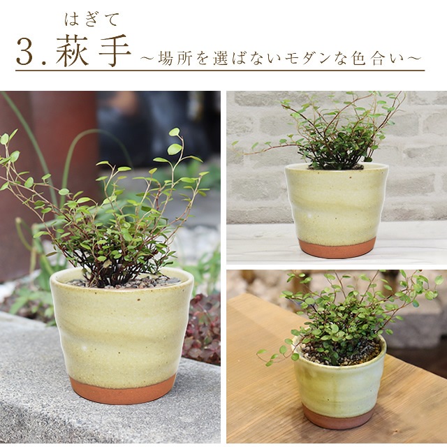 ���ھ� ����ȭ ƫ�� ������� ����ȭ �ե��ݥå� ���ܥƥ�ȭ ¿��ȭ �ץ�󥿡� �� ȭ���� �ߺ�ȭ ������ȭ ȭ �Ƥ�ʪ ���٤�3�� �Ƥޤ�ե��ݥåȡʾ��� sa-0328