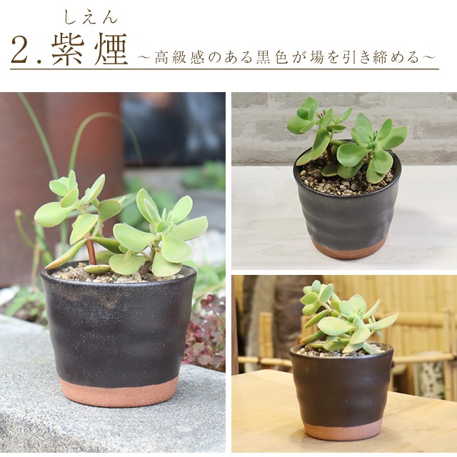 ���ھ� ����ȭ ƫ�� ������� ����ȭ �ե��ݥå� ���ܥƥ�ȭ ¿��ȭ �ץ�󥿡� �� ȭ���� �ߺ�ȭ ������ȭ ȭ �Ƥ�ʪ ���٤�3�� �Ƥޤ�ե��ݥåȡʾ��� sa-0328