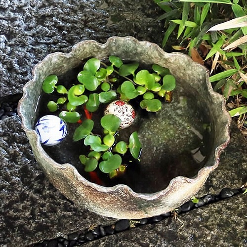 13ȩȽȭھơȭȭˤsu-0203