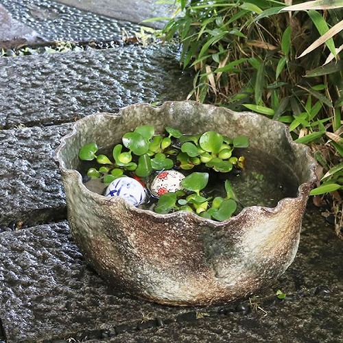 13ȩȽȭھơȭȭˤsu-0203