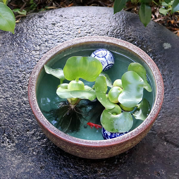 10ȩȭھơȭȭˤᡡƫ凉ȭȭȭsu-0140