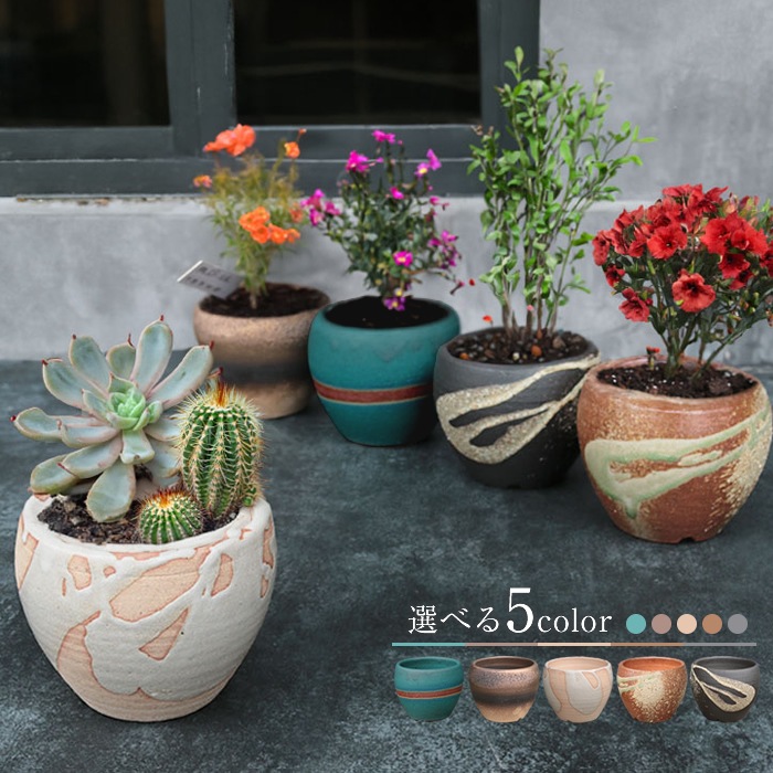 ���ھ� ���٤�5���� ����ȭ�ʼ�����/�����ǥ˥󥰹��񥻥åȡ� sa-0337