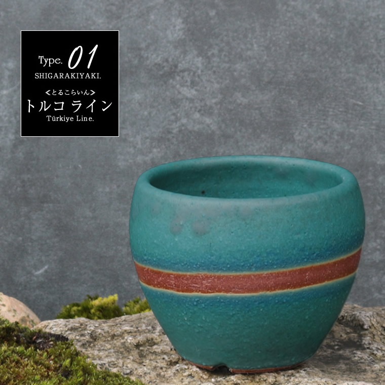 ���ھ� ���٤�5���� ����ȭ�ʼ�����/�����ǥ˥󥰹��񥻥åȡ� sa-0337