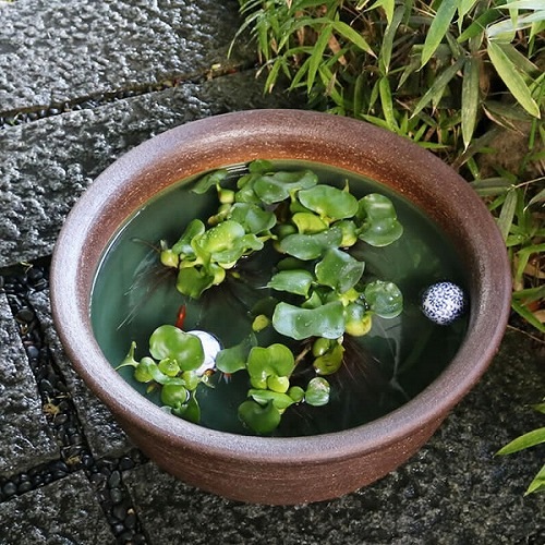 18楱뷿ȭھơȭȭˤᡡȩȭsu-0008