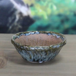 ����ȭ��������ȭ��ȡ����Ĺ��ͺ���ھƤ�����ȭ���ڰ��ʺ��ȭ��[sa-0268]