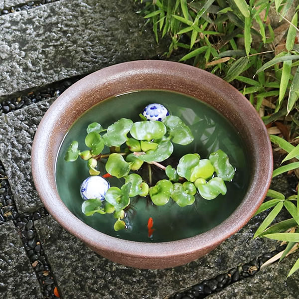 16楱뷿ȭھơȭȭˤᡡȩȭsu-0110