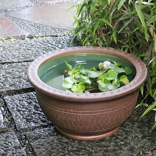 16��ȥ����ҷ���ȭ�����ھơ����ȭ�������ȭ�ˤ����ᡡ��ȭ����su-0111��