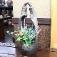��ޤ�⡡�����졡���ھƤ����ִ��ha-0179��