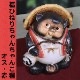 ھ ̤  ھƤ̤ ﵯʪΥ̥ ƫ勵̥ ̤ʪ 䤭 餭䤭 Ƥʪ ì ̥   raccoon dog ì ta-0399