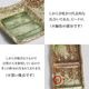 ��1������ۿ��ھ� �ӡ��ɥ����ʻ� ���ڻ� Ĺ�ѻ�  ct-0029