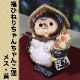 ھ ̤  ھƤ̤ ﵯʪΥ̥ ƫ勵̥ ̤ʪ 䤭 餭䤭 Ƥʪ ì ̥   raccoon dog ì(᥹) ta-0400