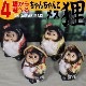 ھ ̤  ھƤ̤ ﵯʪΥ̥ ƫ勵̥ ̤ʪ 䤭 餭䤭 Ƥʪ ì ̥   raccoon dog ì(᥹) ta-0400