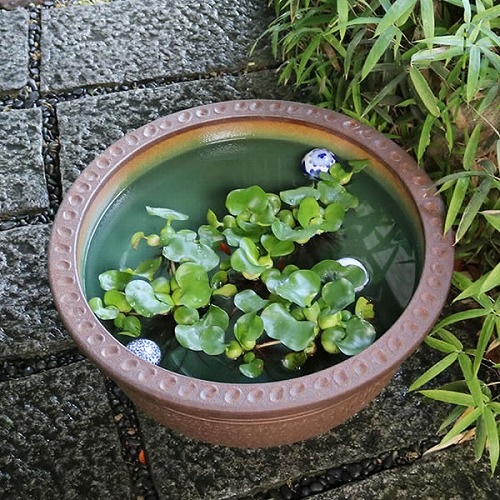 20ȥҷȭھơȭȭˤᡡ緿ȭsu-0007