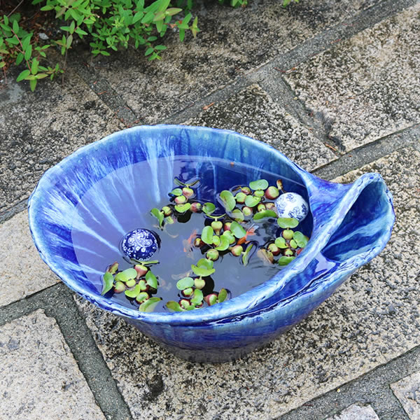 ĥӡɥȭ ھ ȭȭˤ ϡȭ ȭ ƫ ȭ su-0247