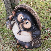 ���ھƤ����̤���20��ſ���ʡ���Ҥͤ�ì��ƫ�勵�̥���ì����ta-0118��
