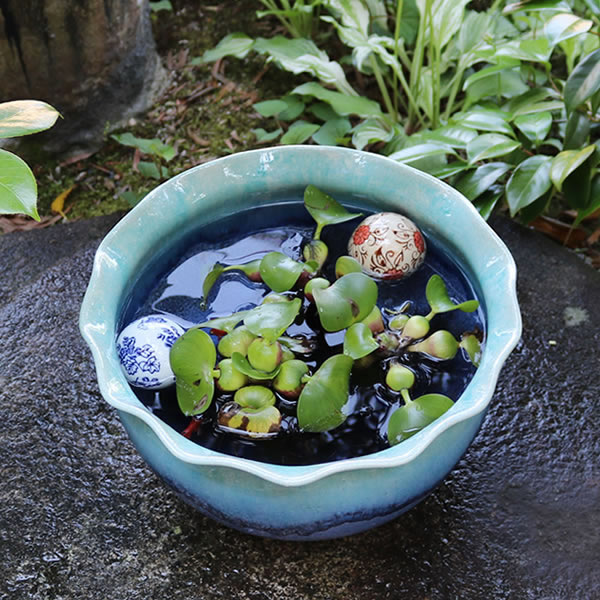 ĥ饹ȷȭ ھơȭȭˤᡡƫȭȭsu-0267