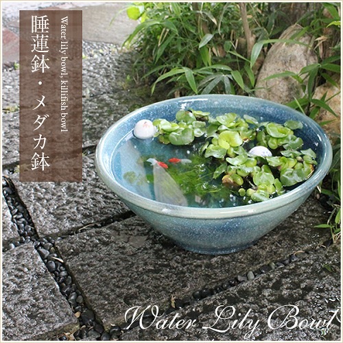 16֥롼饹ȭھơȭȭˤsu-0165