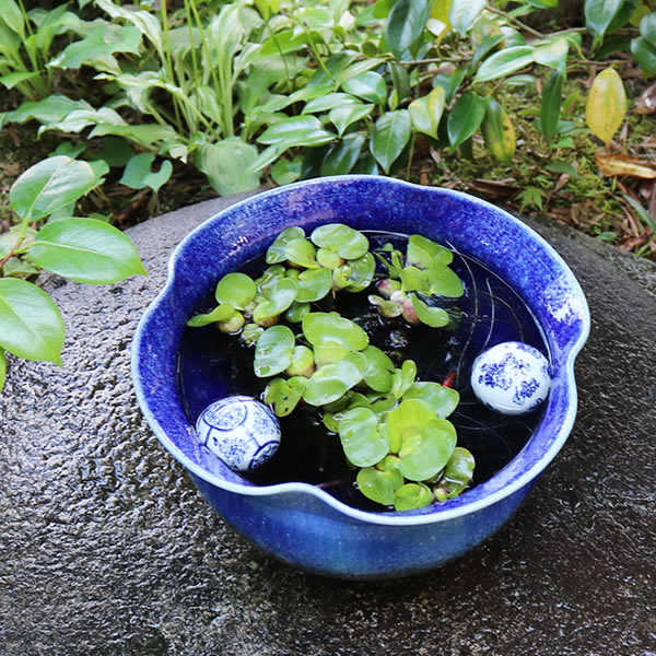 ĥӡɥַȭ ھơȭȭˤᡡƫȭȭsu-0271