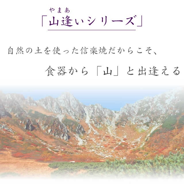 ���ھ� �ݻ� �绮 �ʱ߻� �¿��� �����դ� ƫ�� ��껮 ��ȭ �����դ�ȭ ������ȭ w322-10