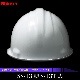 ������̵�������衦�ʪ���ŵ��ѡ���ȥإ��å� SS-13��S-13T��<br>�ڥ᡼����ľ���ʡ�������Բġ����ֻ����Բġ�