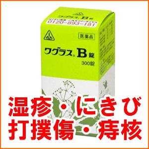 【ホノミ漢方】湿疹・にきび・しもやけ・打撲傷・痔　ワグラスB錠　300錠　桂枝茯苓丸合桃核承気湯加柴胡｜剤盛堂薬品【第2類医薬品】
