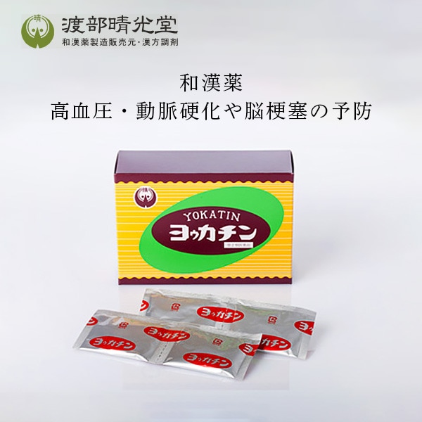 渡部晴光堂　ヨウカチン40包（100g）【第2類医薬品】