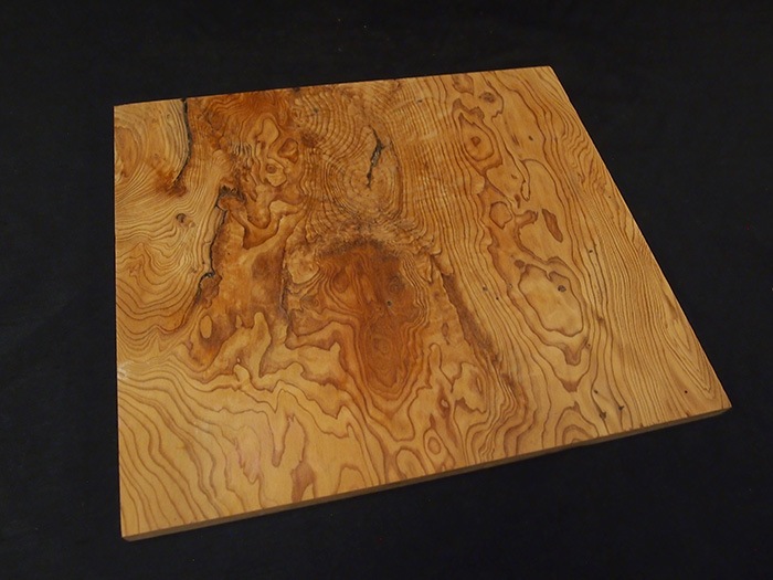 ���׿����ݸ���403