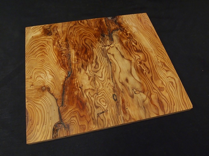 ���׿����ݸ���403