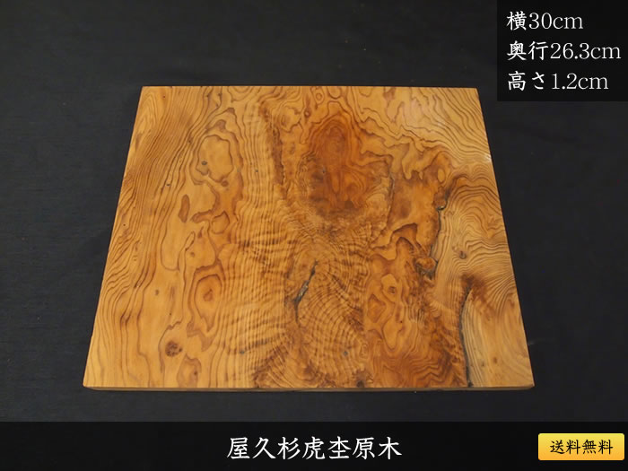 ���׿����ݸ���403