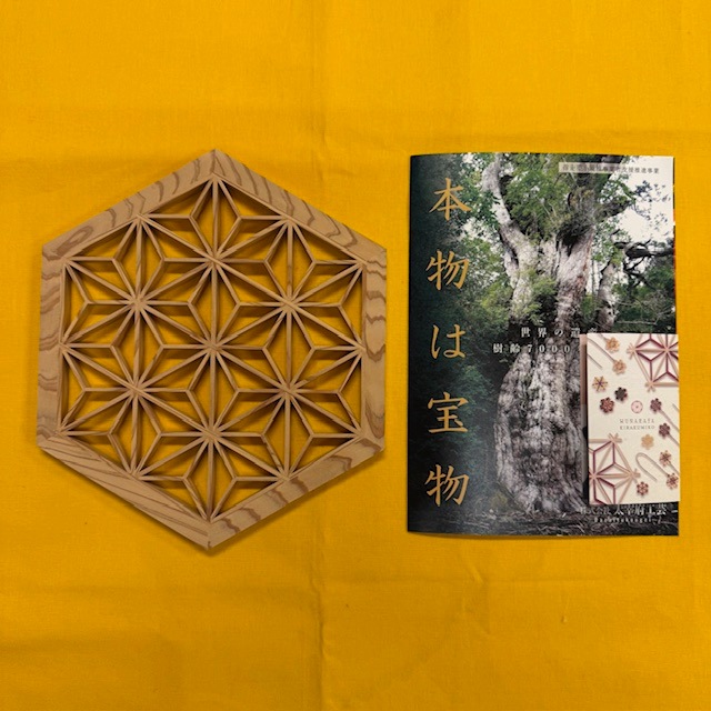 �Կ����ʡղ��׿� �Ȼ� ��������ʾ����桦�ɳݤ���844