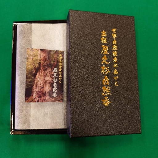 ���׿�������ʹ�Ȣ��