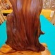 ���׿����ݼ����ߥˤĤ�����023