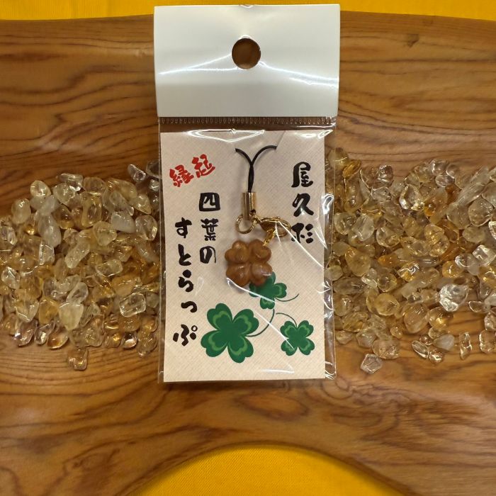 ���׿������������С����աʼ�Ħ���446