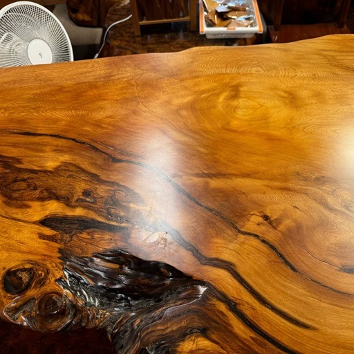 ���׿����ݼ����ơ��֥�170