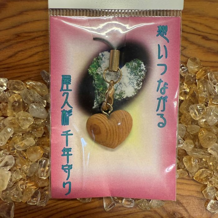 ���׿������ϡ��Ⱥ��աʼ�Ħ���447