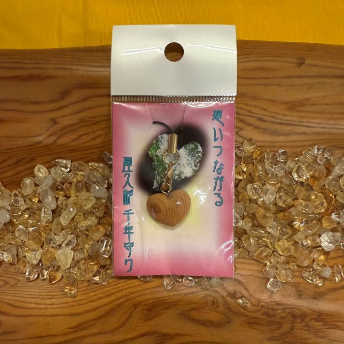 ���׿������ϡ��Ⱥ��աʼ�Ħ���447