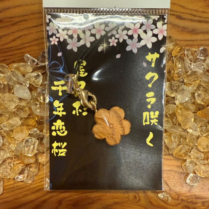 ���׿����������麬�աʼ�Ħ���448