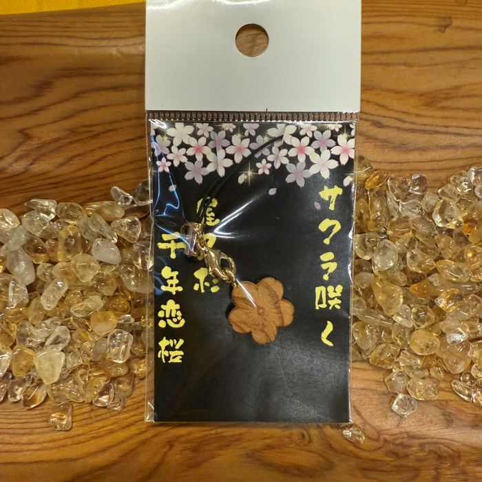 ���׿����������麬�աʼ�Ħ���448