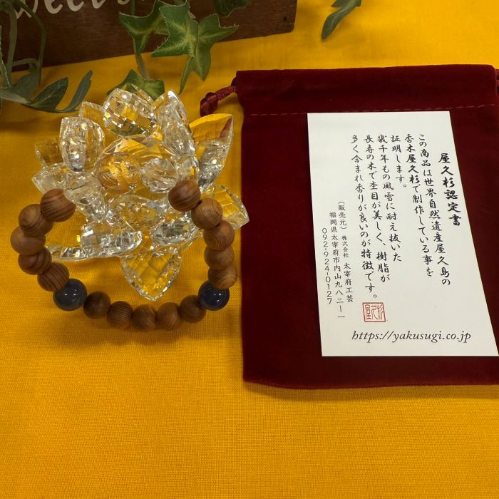 ���׿����֥쥹��å�����8�����徽˱��Ħ���֥롼��Υ������14cm)6106B