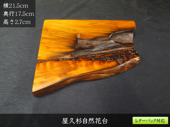 ���׿���������512