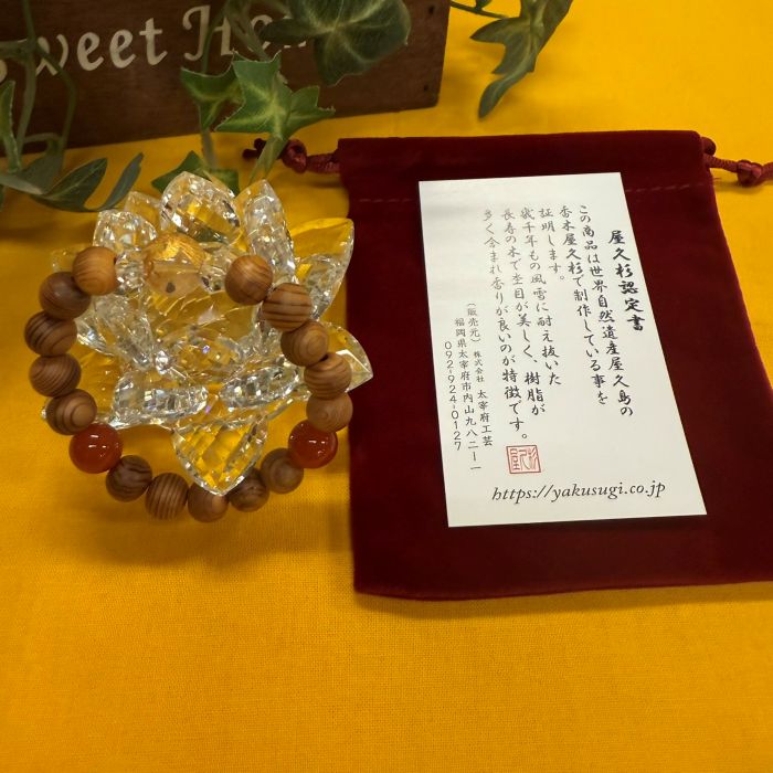 ���׿����֥쥹��å�����8�����徽˱��Ħ����åɥ�Υ������14cm)6106C