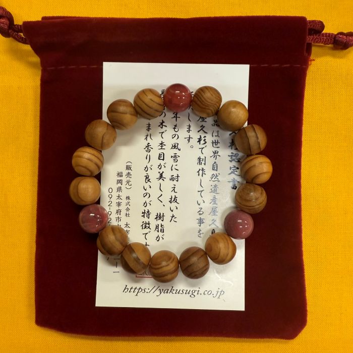 ���׿��֥쥹��å�����10mm�ե����䡼�������ȡ����16cm)6106G