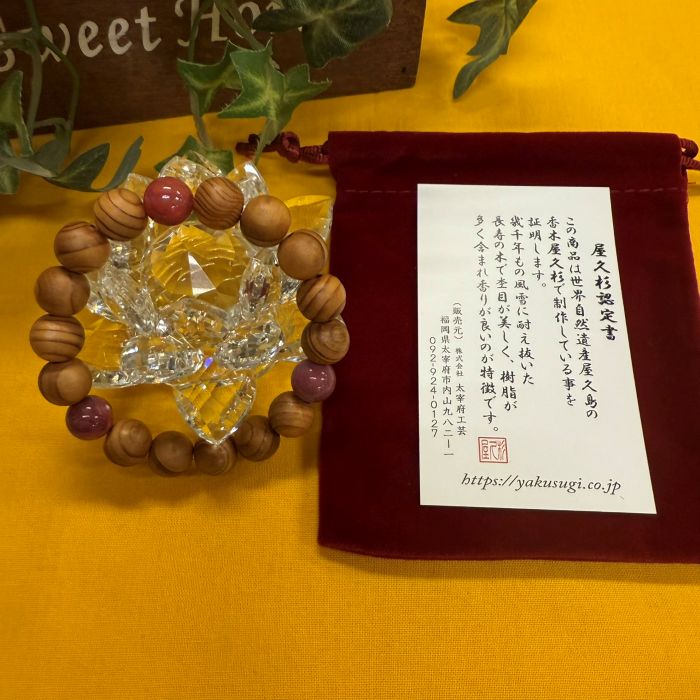 ���׿��֥쥹��å�����10mm�ե����䡼�������ȡ����16cm)6106G