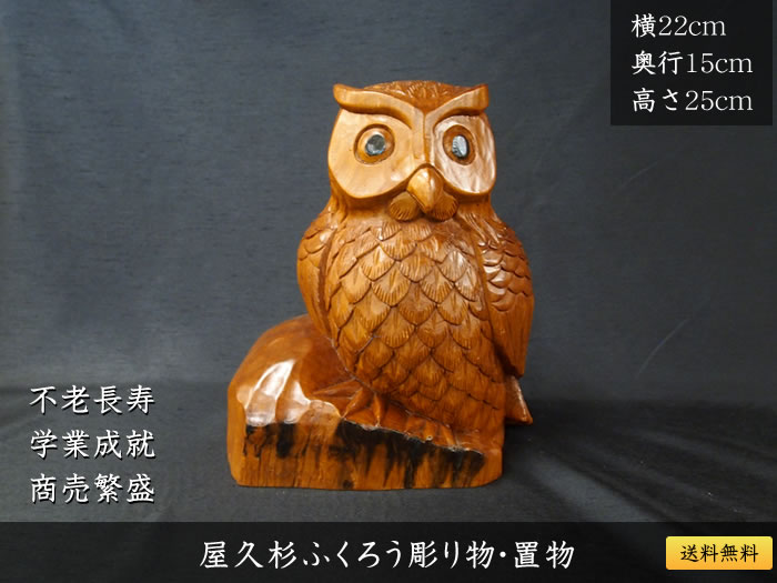 ���׿��դ�����Ħ��ʪ����ʪ140