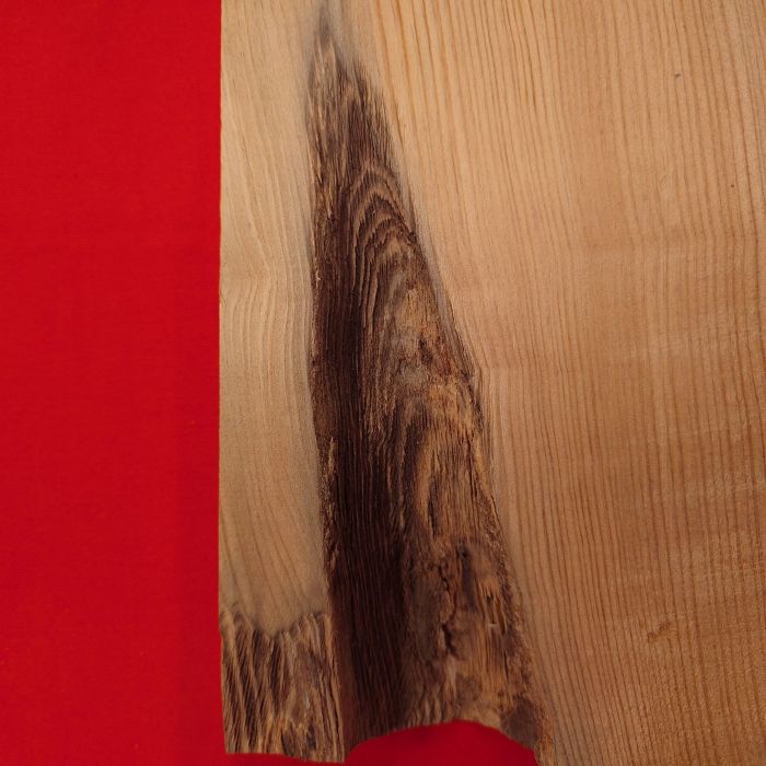 ���׿���������754